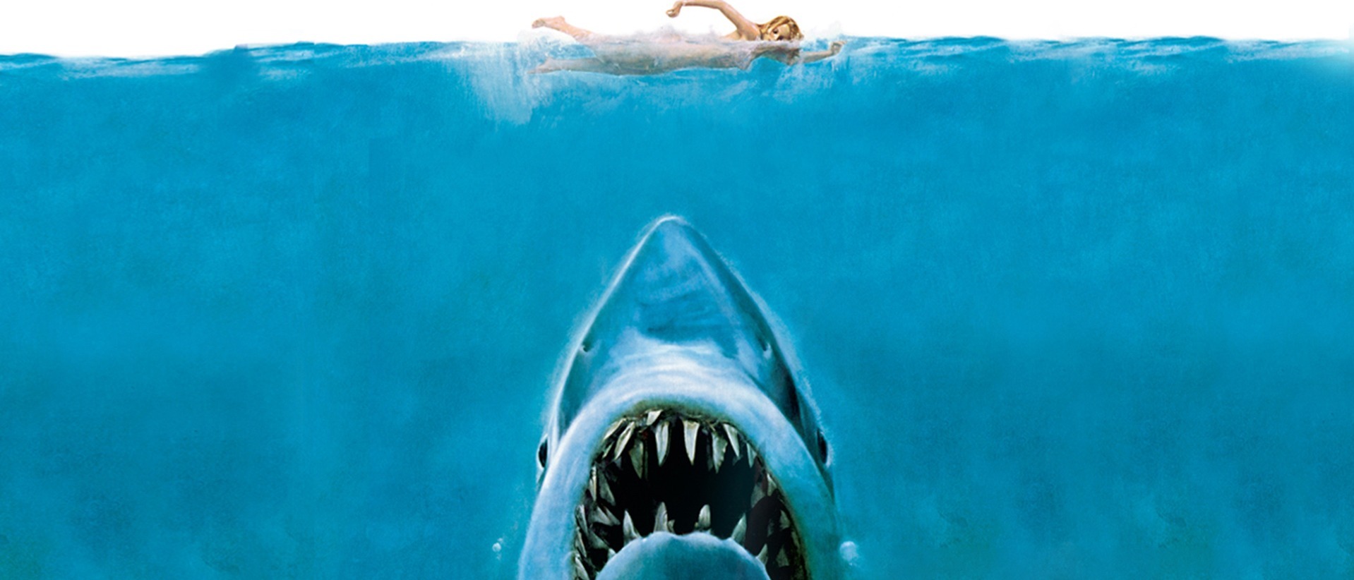 JAWS en V.O.S.E
